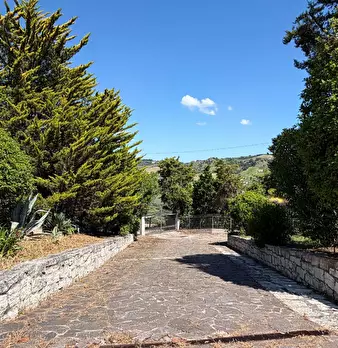Foto annuncio 49