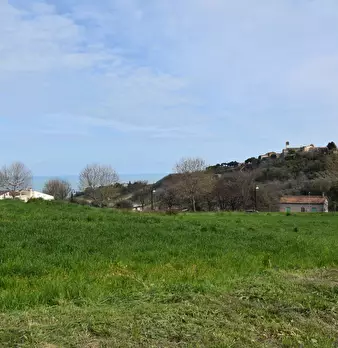 Foto annuncio 9