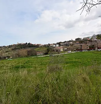 Foto annuncio 10