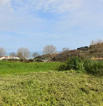 Foto annuncio 16