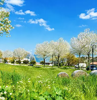 Foto annuncio 2