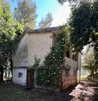 Foto annuncio 5