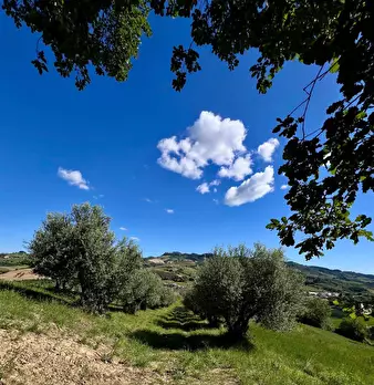 Foto annuncio 3