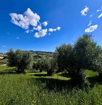 Foto annuncio 6