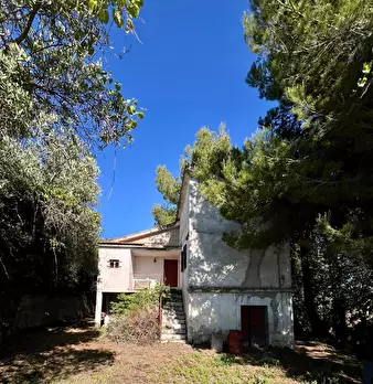 Foto annuncio 2