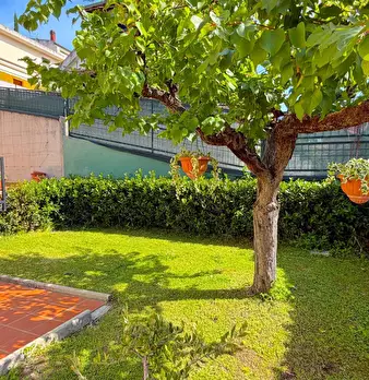 Foto annuncio 39