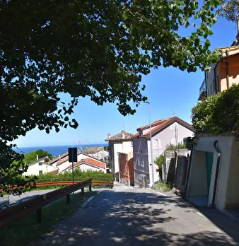 Foto annuncio 14