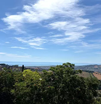 Foto annuncio 10