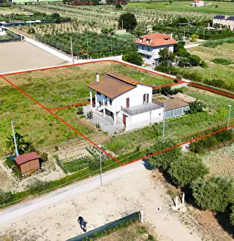 Foto annuncio 36