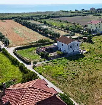 Foto annuncio 18