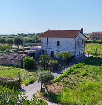Foto annuncio 42