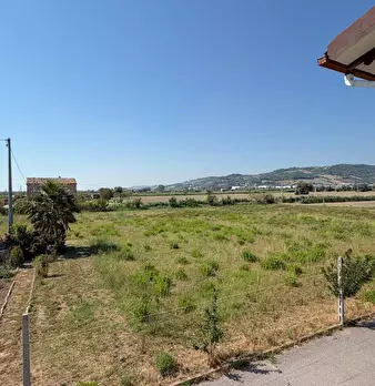 Foto annuncio 62