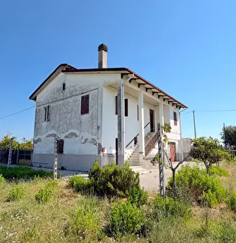 Foto annuncio 14