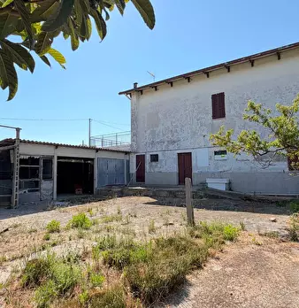 Foto annuncio 17