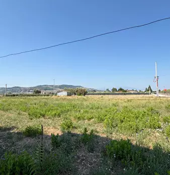 Foto annuncio 65