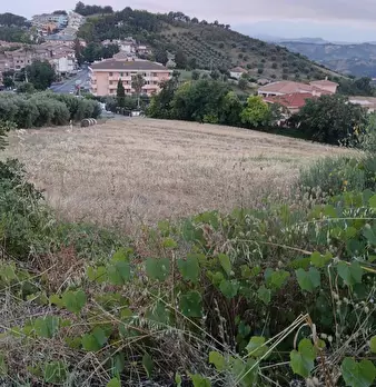 Foto annuncio 5