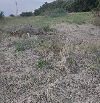 Foto annuncio 7