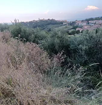 Foto annuncio 8