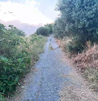 Foto annuncio 13