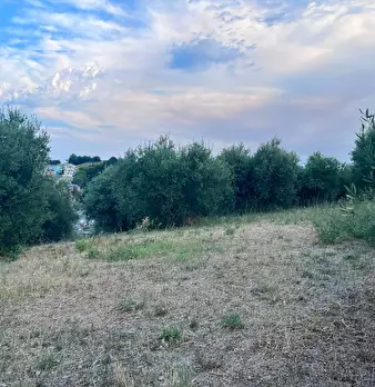 Foto annuncio 14