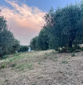 Foto annuncio 16