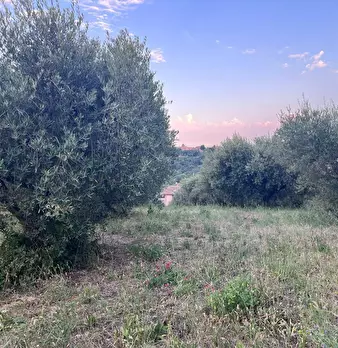 Foto annuncio 18