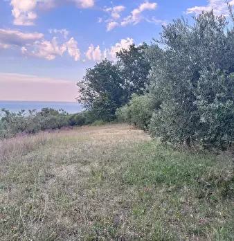Foto annuncio 19