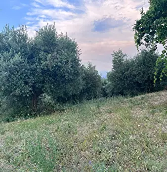 Foto annuncio 20