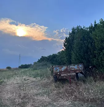 Foto annuncio 23