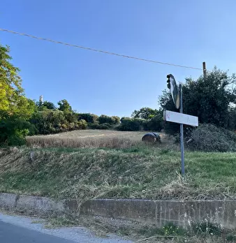 Foto annuncio 10