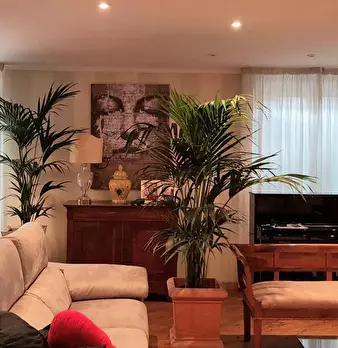 Foto annuncio 19