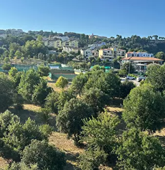 Foto annuncio 17