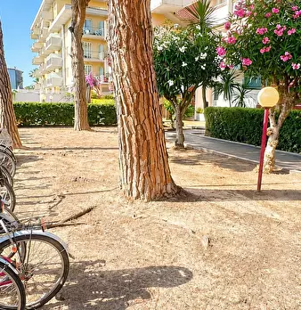 Foto annuncio 18