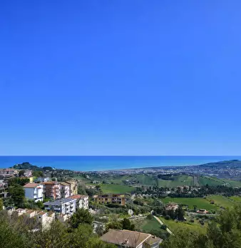 Foto annuncio 9