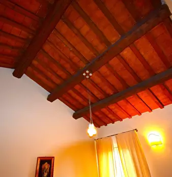 Foto annuncio 67