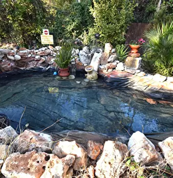 Foto annuncio 64
