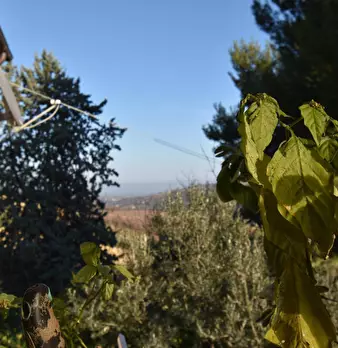 Foto annuncio 14
