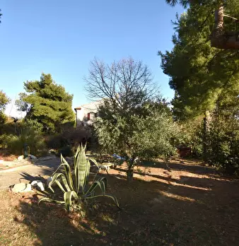 Foto annuncio 17