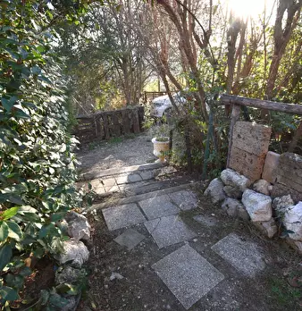 Foto annuncio 25