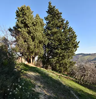 Foto annuncio 27