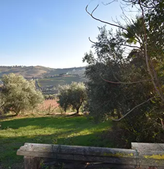 Foto annuncio 20