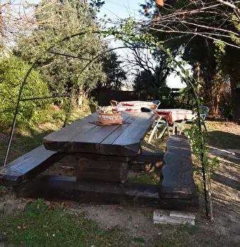 Foto annuncio 20