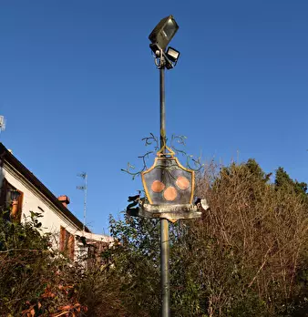 Foto annuncio 29