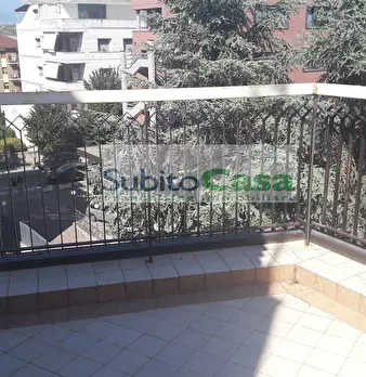 Foto annuncio 31