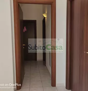 Foto annuncio 18