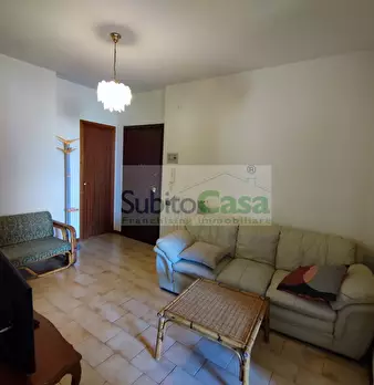 Foto annuncio 7