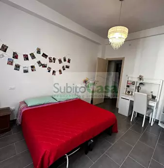Foto annuncio 6