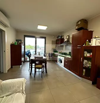 Foto annuncio 10