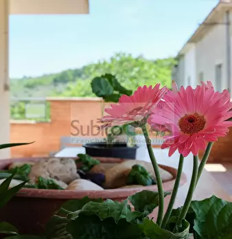 Foto annuncio 17