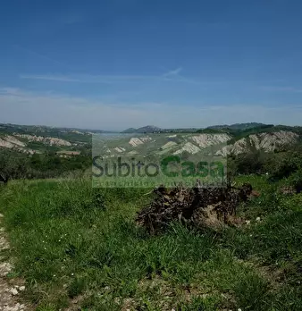 Foto annuncio 46
